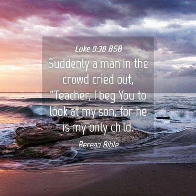 Picture 04 - Luke 9:38 BSB - Suddenly a man in the crowd cried out, - Bible Verse Picture