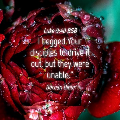 Picture 04 - Luke 9:40 BSB - I begged Your disciples to drive it out, but they - Bible Verse Picture