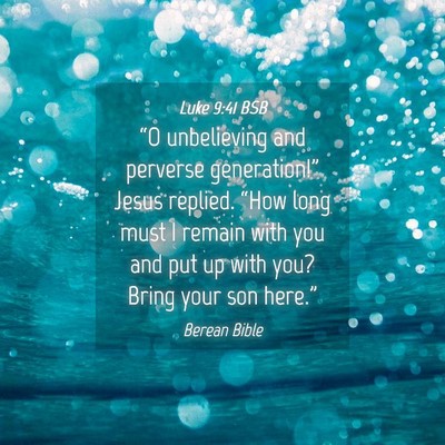 Picture 04 - Luke 9:41 BSB - “O unbelieving and perverse generation!” - Bible Verse Picture