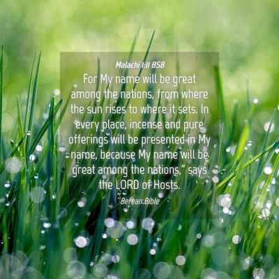Picture 04 - Malachi 1:11 BSB - For My name will be great among the nations, from - Bible Verse Picture