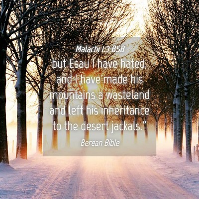 Picture 04 - Malachi 1:3 BSB - but Esau I have hated, and I have made his - Bible Verse Picture