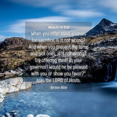 Picture 04 - Malachi 1:8 BSB - When you offer blind animals for sacrifice, is it - Bible Verse Picture