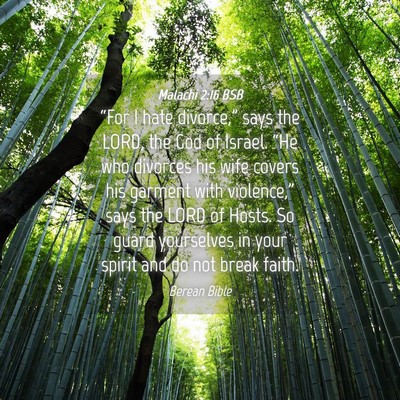 Picture 04 - Malachi 2:16 BSB - “For I hate divorce,” says the LORD, the God - Bible Verse Picture