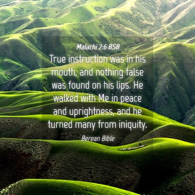 Picture 04 - Malachi 2:6 BSB - True instruction was in his mouth, and nothing - Bible Verse Picture