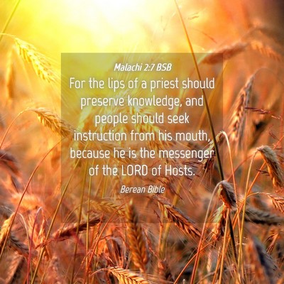 Picture 04 - Malachi 2:7 BSB - For the lips of a priest should preserve - Bible Verse Picture