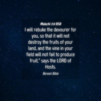Picture 04 - Malachi 3:11 BSB - I will rebuke the devourer for you, so that it - Bible Verse Picture