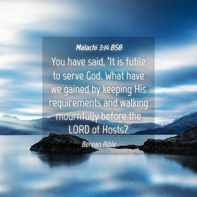 Picture 04 - Malachi 3:14 BSB - You have said, ‘It is futile to serve God. What - Bible Verse Picture