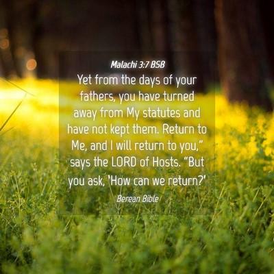 Picture 04 - Malachi 3:7 BSB - Yet from the days of your fathers, you have - Bible Verse Picture