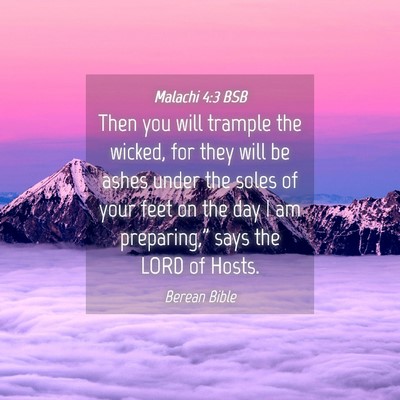 Picture 04 - Malachi 4:3 BSB - Then you will trample the wicked, for they will - Bible Verse Picture