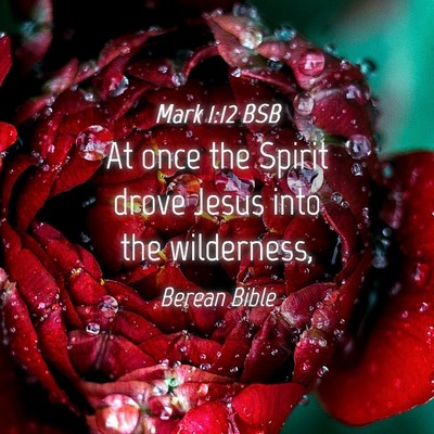 Picture 04 - Mark 1:12 BSB - At once the Spirit drove Jesus into the - Bible Verse Picture