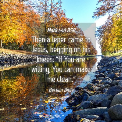 Picture 04 - Mark 1:40 BSB - Then a leper came to Jesus, begging on his knees: - Bible Verse Picture
