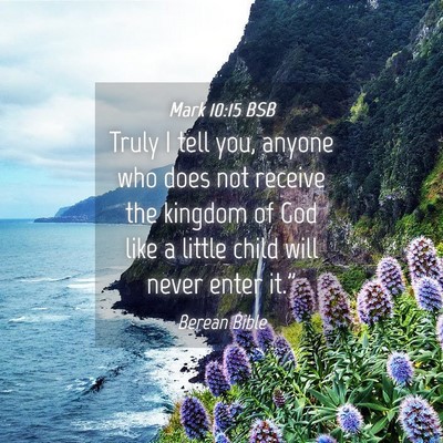 Picture 04 - Mark 10:15 BSB - Truly I tell you, anyone who does not receive the - Bible Verse Picture