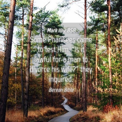 Picture 04 - Mark 10:2 BSB - Some Pharisees came to test Him. “Is it lawful - Bible Verse Picture