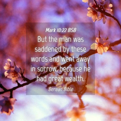 Picture 04 - Mark 10:22 BSB - But the man was saddened by these words and went - Bible Verse Picture