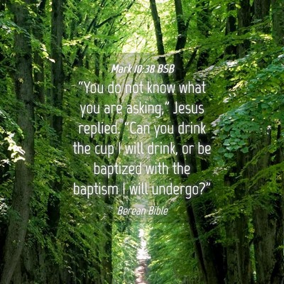 Picture 04 - Mark 10:38 BSB - “You do not know what you are asking,” Jesus - Bible Verse Picture