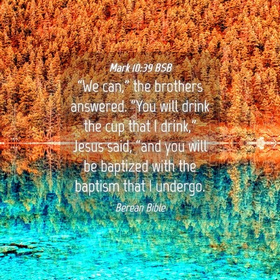 Picture 04 - Mark 10:39 BSB - “We can,” the brothers answered. “You will - Bible Verse Picture