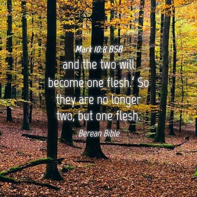 Picture 04 - Mark 10:8 BSB - and the two will become one flesh.’ So they are - Bible Verse Picture