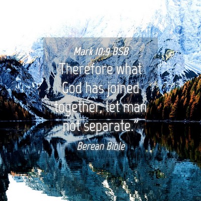 Picture 04 - Mark 10:9 BSB - Therefore what God has joined together, let man - Bible Verse Picture