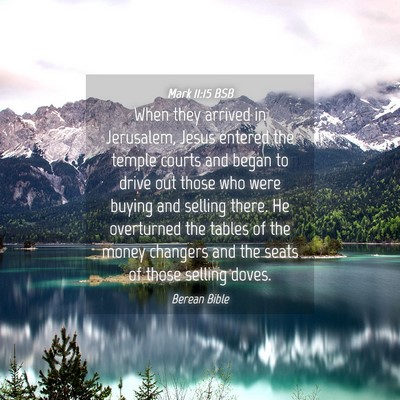 Picture 04 - Mark 11:15 BSB - When they arrived in Jerusalem, Jesus entered the - Bible Verse Picture