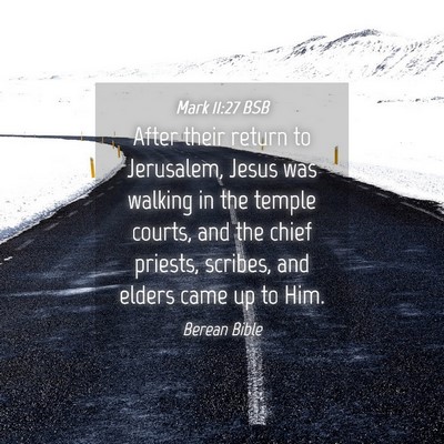 Picture 04 - Mark 11:27 BSB - After their return to Jerusalem, Jesus was - Bible Verse Picture