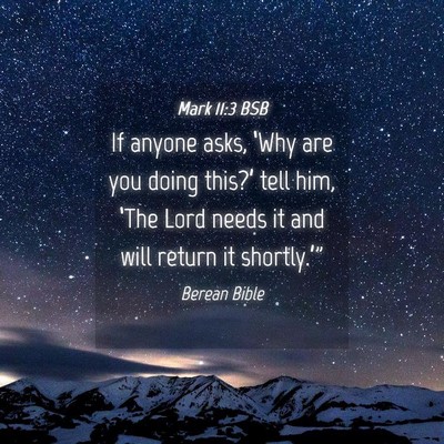 Picture 04 - Mark 11:3 BSB - If anyone asks, ‘Why are you doing this?’ - Bible Verse Picture