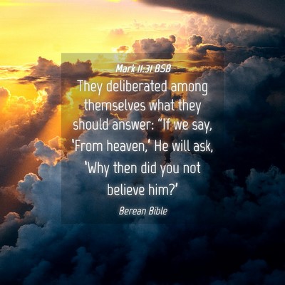 Picture 04 - Mark 11:31 BSB - They deliberated among themselves what they - Bible Verse Picture