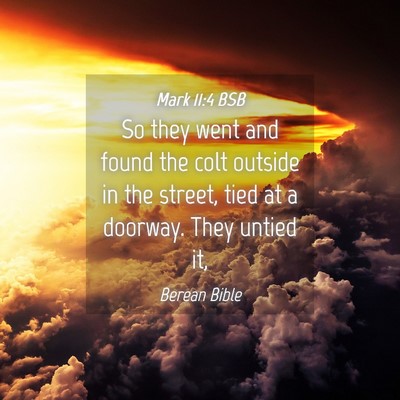 Picture 04 - Mark 11:4 BSB - So they went and found the colt outside in the - Bible Verse Picture