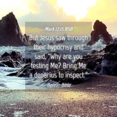 Picture 04 - Mark 12:15 BSB - But Jesus saw through their hypocrisy and said, - Bible Verse Picture