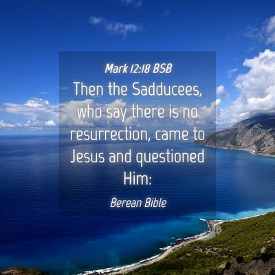 Picture 04 - Mark 12:18 BSB - Then the Sadducees, who say there is no - Bible Verse Picture