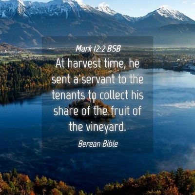 Picture 04 - Mark 12:2 BSB - At harvest time, he sent a servant to the tenants - Bible Verse Picture