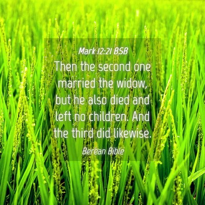 Picture 04 - Mark 12:21 BSB - Then the second one married the widow, but he - Bible Verse Picture