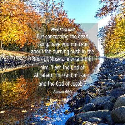 Picture 04 - Mark 12:26 BSB - But concerning the dead rising, have you not read - Bible Verse Picture