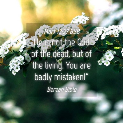 Picture 04 - Mark 12:27 BSB - He is not the God of the dead, but of the living. - Bible Verse Picture
