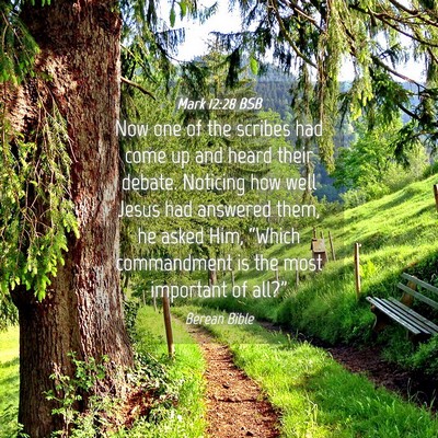 Picture 04 - Mark 12:28 BSB - Now one of the scribes had come up and heard - Bible Verse Picture