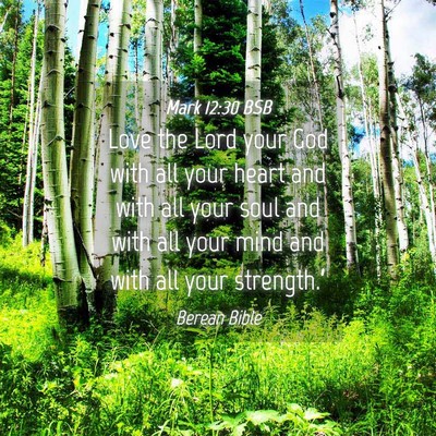 Picture 04 - Mark 12:30 BSB - Love the Lord your God with all your heart and - Bible Verse Picture