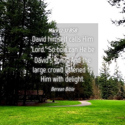 Picture 04 - Mark 12:37 BSB - David himself calls Him ‘Lord.’ So how can He - Bible Verse Picture