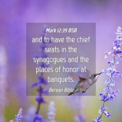 Picture 04 - Mark 12:39 BSB - and to have the chief seats in the synagogues and - Bible Verse Picture
