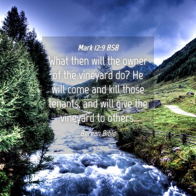 Picture 04 - Mark 12:9 BSB - What then will the owner of the vineyard do? He - Bible Verse Picture