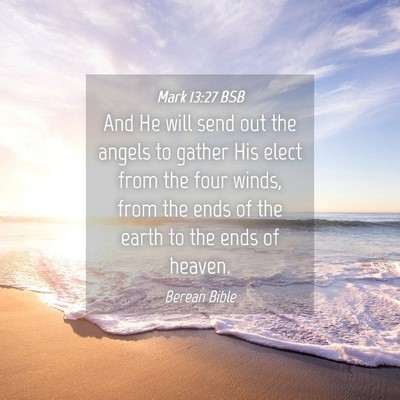 Picture 04 - Mark 13:27 BSB - And He will send out the angels to gather His - Bible Verse Picture