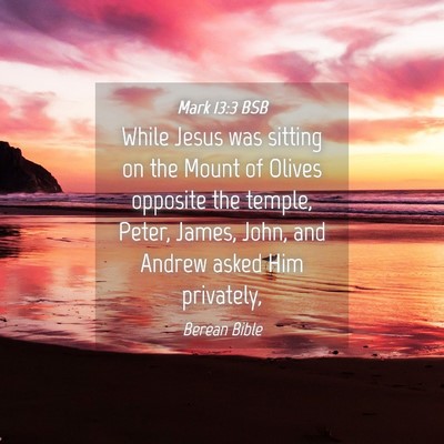 Picture 04 - Mark 13:3 BSB - While Jesus was sitting on the Mount of Olives - Bible Verse Picture
