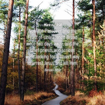 Picture 04 - Mark 14:1 BSB - Now the Passover and the Feast of Unleavened - Bible Verse Picture