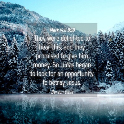 Picture 04 - Mark 14:11 BSB - They were delighted to hear this, and they - Bible Verse Picture