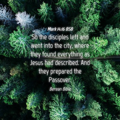 Picture 04 - Mark 14:16 BSB - So the disciples left and went into the city, - Bible Verse Picture
