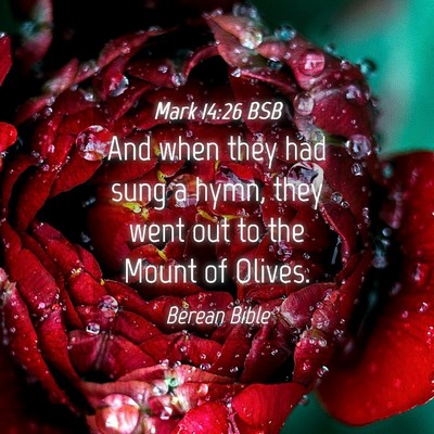 Picture 04 - Mark 14:26 BSB - And when they had sung a hymn, they went out to - Bible Verse Picture