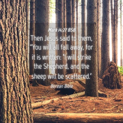 Picture 04 - Mark 14:27 BSB - Then Jesus said to them, “You will all fall - Bible Verse Picture