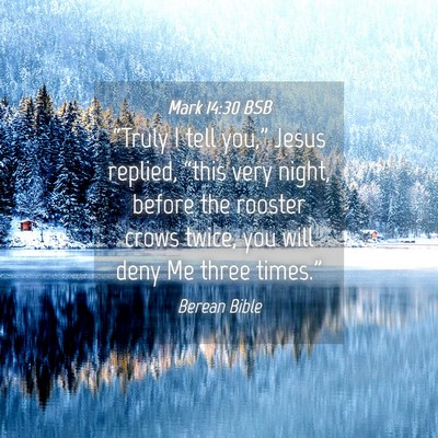 Picture 04 - Mark 14:30 BSB - “Truly I tell you,” Jesus replied, “this - Bible Verse Picture