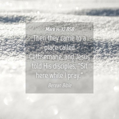 Picture 04 - Mark 14:32 BSB - Then they came to a place called Gethsemane, and - Bible Verse Picture