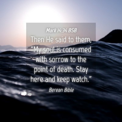 Picture 04 - Mark 14:34 BSB - Then He said to them, “My soul is consumed with - Bible Verse Picture