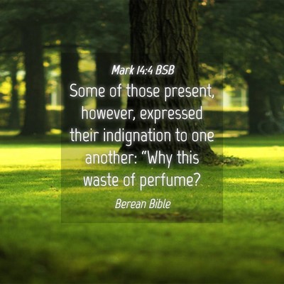 Picture 04 - Mark 14:4 BSB - Some of those present, however, expressed their - Bible Verse Picture