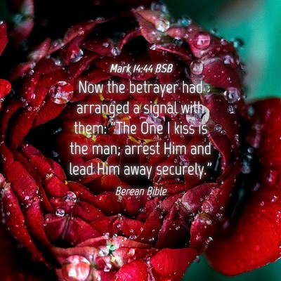 Picture 04 - Mark 14:44 BSB - Now the betrayer had arranged a signal with them: - Bible Verse Picture